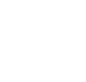 ACTS Logo - Agency for Community Treatment Services